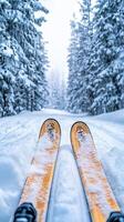 Skiing in a Snowy Forest Winter Wonderland photo