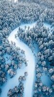 Winter forest path seen from above photo