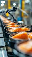 Fresh salmon on conveyor in processing plant photo