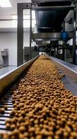 Conveyor Belt Filled with Pet Food Kibble in a Factory photo
