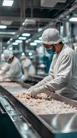 Worker in a Food Processing Factory Handling Shrimp on a Conveyor Belt photo