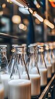 Milk Bottles on Conveyor Belt in Dairy Factory photo