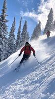 Skier racing down a snowy mountain past pine trees photo