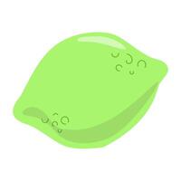 Fresh lime with smooth surface and bright color vector