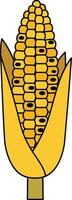 Fresh yellow corn cob with husk partially peeled in simple flat minimal style illustration vector
