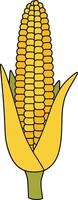Yellow corn cob with green husk in simple minimal flat design style illustration vector