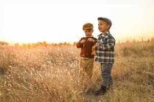 Two little boys play joyfully in a golden field at sunset, laughing as they run with a large teddy bear. photo