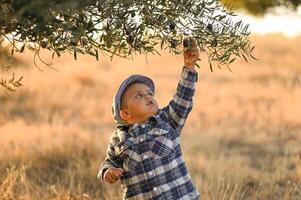 Smiling brightly, the boy fills his hands with olives beneath golden evening light. photo