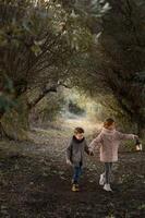 Children in a fantasy forest walk through a tunnel of trees, illuminated by the warm glow of their lantern. photo