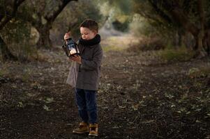 A small boy pauses under tall glowing trees, mesmerized by the golden light of his lantern in the quiet forest. photo