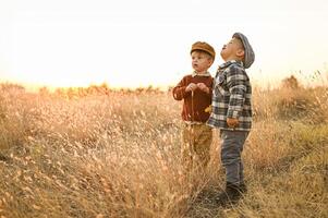 In the warm glow of the setting sun, two boys chase each other through tall grass, dragging a big plush bear behind them photo