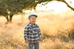 Dressed in old-fashioned clothes, the boy stands still among the tall golden grass, smiling and laughing in the warm light. photo