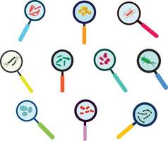 A scientific and educational set of illustrations featuring magnifying glasses zooming in on various bacteria, for biology visuals, science projects, health campaigns, and classroom materials. vector