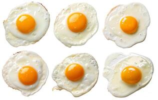 Fried eggs arranged neatly on a white background showcasing golden yolks and crispy edges photo