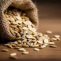 Rolled and Whole Oats Spilling from Burlap Sack Macro photo
