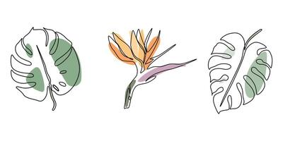 Set of continuous one line drawing of monstera leaves and paradise flower. Beautiful floral linear tropical art isolated on a white background. vector