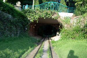A forgotten railway tunnel beneath a bridge, completely covered in lush green vines out of a fairytale forest ancient stone photo