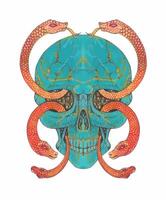 Surreal art turquoise skull with snake design by hand painting on paper make graphic . vector