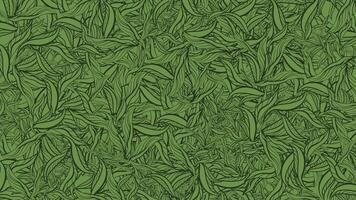 hand draw leaf pattern ,nature green background vector