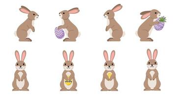 Cute bunny character progression in minimal flat art style vector