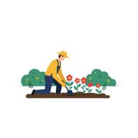 Gardener planting colorful flowers in flat design art vector