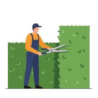 Gardener trimming hedges with scissors in flat and colorful art vector