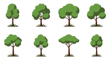 Different types of trees illustrated in flat style art vector