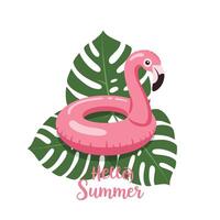 Colorful flamingo float on green tropical leaves with summer greeting text vector
