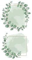 Eucalyptus leaves with delicate gold geometric frames in soft watercolor style minimal botanical illustration vector