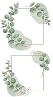 Green eucalyptus branches with delicate leaves and gold accents in minimal flat design with abstract shapes illustration vector