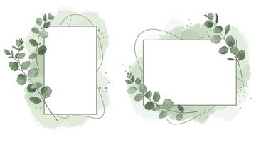 Green eucalyptus leaf frames with watercolor style background and delicate dotted lines minimal illustration vector