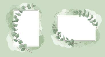 Green eucalyptus leaves decorative frames with watercolor splash background in minimal flat design illustration vector