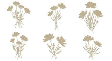 Beige wildflower bunches with thin stems and detailed petals in minimal natural botanical flat style illustration vector