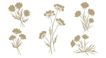 Delicate beige wildflower bouquets with slender stems and soft petals in minimal flat design illustration vector