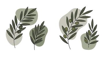 Green leafy branches with natural shapes in a minimal flat design style illustration vector