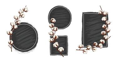 Cotton plant branches with round and rectangular black chalkboard frames minimal design illustration vector