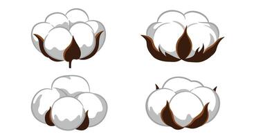 White cotton plant bolls with brown stems in simplified flat design isolated on white background illustration vector