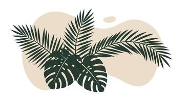 Tropical green palm and monstera leaves with beige abstract background flat design illustration vector