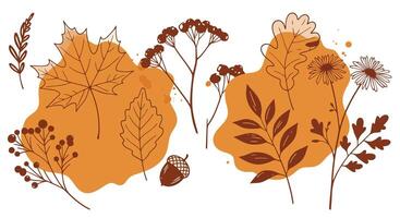 Autumn leaves and plants with acorn in minimal flat design natural elements illustration vector