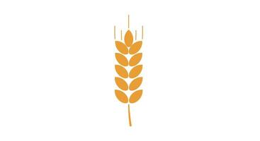 Golden wheat ear with simple shapes and flat minimal design isolated on white background illustration vector