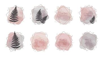Fern leaf silhouettes with soft pastel watercolor shapes and delicate dotted lines in minimal flat style illustration vector