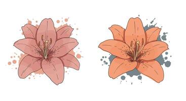 Two detailed lily flowers with natural shades and splattered paint effect in artistic flat style illustration vector