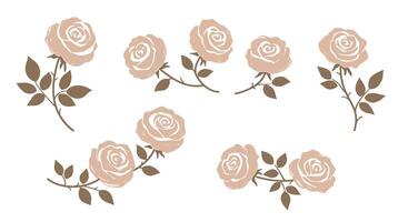 Elegant muted pink rose flowers with green leaves in minimal flat design style illustration vector