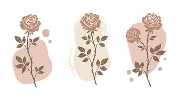 Three delicate single pink roses with detailed petals and leaves on abstract beige and brown shapes in minimal flat illustration vector