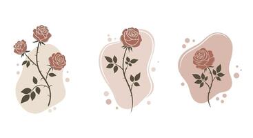 Elegant single and multiple rose stems with leaves in muted earthy tones minimal flat design illustration vector