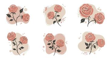 Pink rose flower branches with leaves in minimal flat design style with soft abstract accents illustration vector