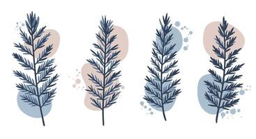 Four delicate pine branches with soft pastel abstract spots in minimal flat style illustration vector