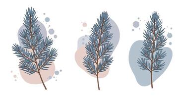 Three detailed pine tree branches with blue needles in a minimalistic style on abstract pastel shapes illustration vector