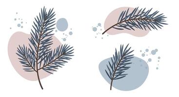 Pine tree branch elements in minimal flat style with muted color palette and abstract shapes illustration vector