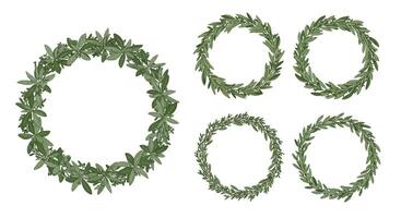 Set of five green leafy wreaths with different shapes and leaf textures in detailed flat style illustration vector
